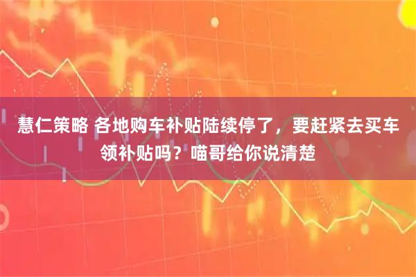 慧仁策略 各地购车补贴陆续停了，要赶紧去买车领补贴吗？喵哥给你说清楚