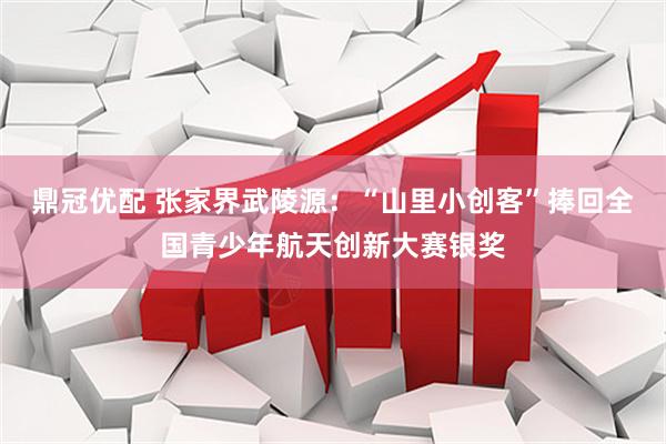 鼎冠优配 张家界武陵源：“山里小创客”捧回全国青少年航天创新大赛银奖