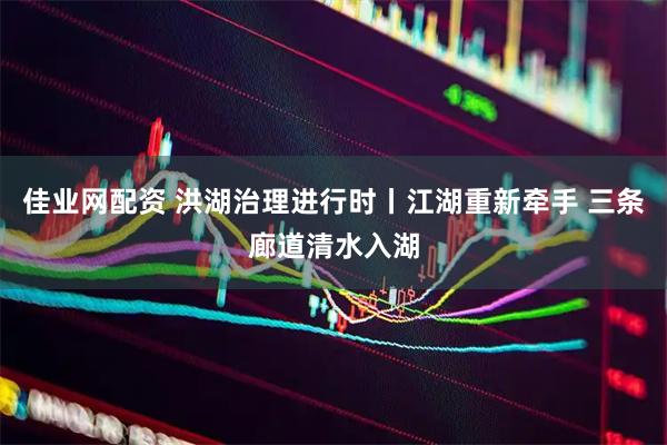 佳业网配资 洪湖治理进行时丨江湖重新牵手 三条廊道清水入湖