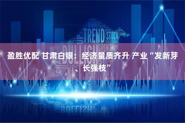 盈胜优配 甘肃白银：经济量质齐升 产业“发新芽、长强枝”