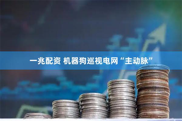 一兆配资 机器狗巡视电网“主动脉”