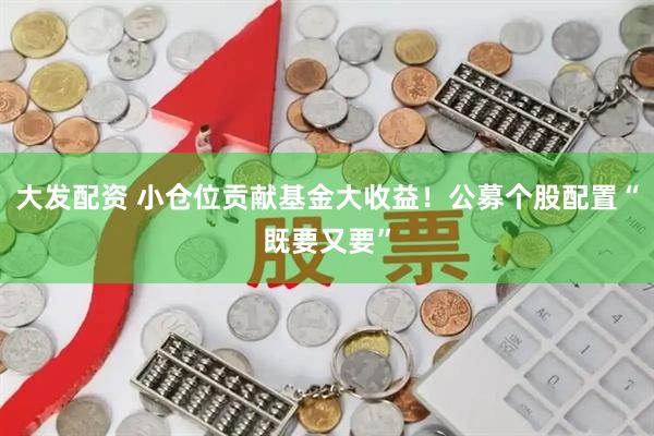 大发配资 小仓位贡献基金大收益！公募个股配置“既要又要”
