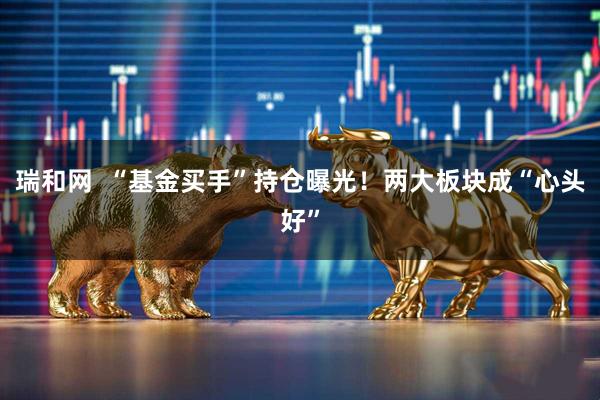 瑞和网  “基金买手”持仓曝光！两大板块成“心头好”