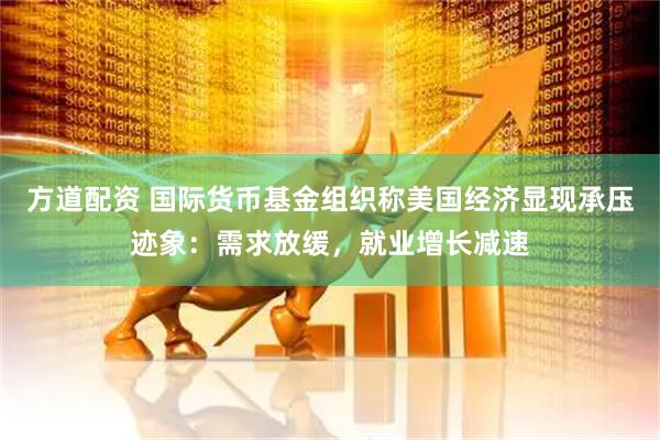 方道配资 国际货币基金组织称美国经济显现承压迹象：需求放缓，就业增长减速